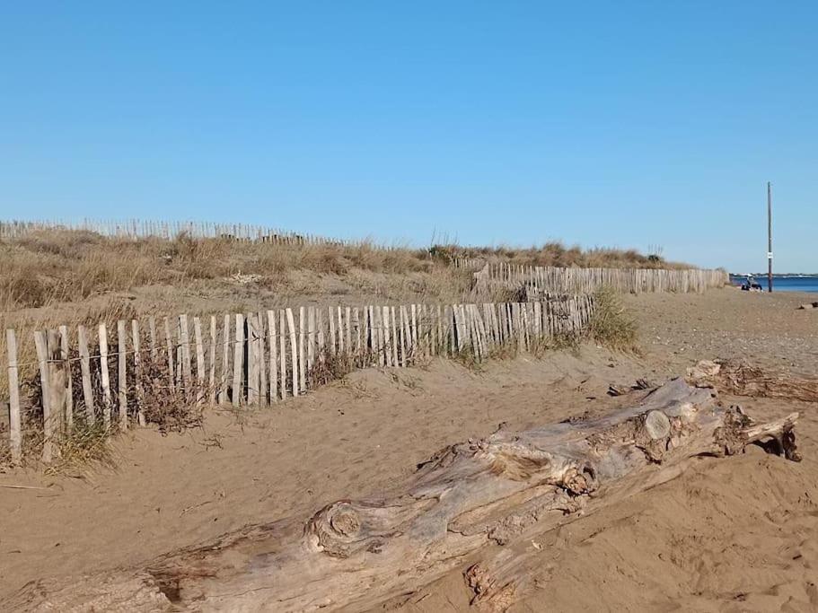 Studio Au Cap D'Agde Dans Les Pinedes Eksteriør billede